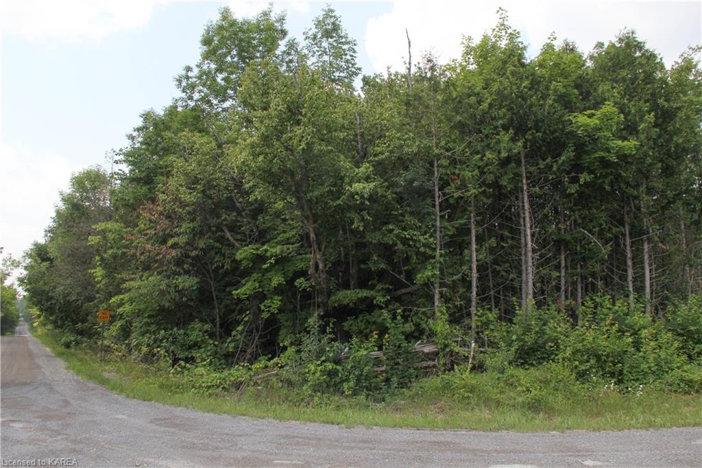 LIME LAKE Road, Roblin, Ontario, Canada
