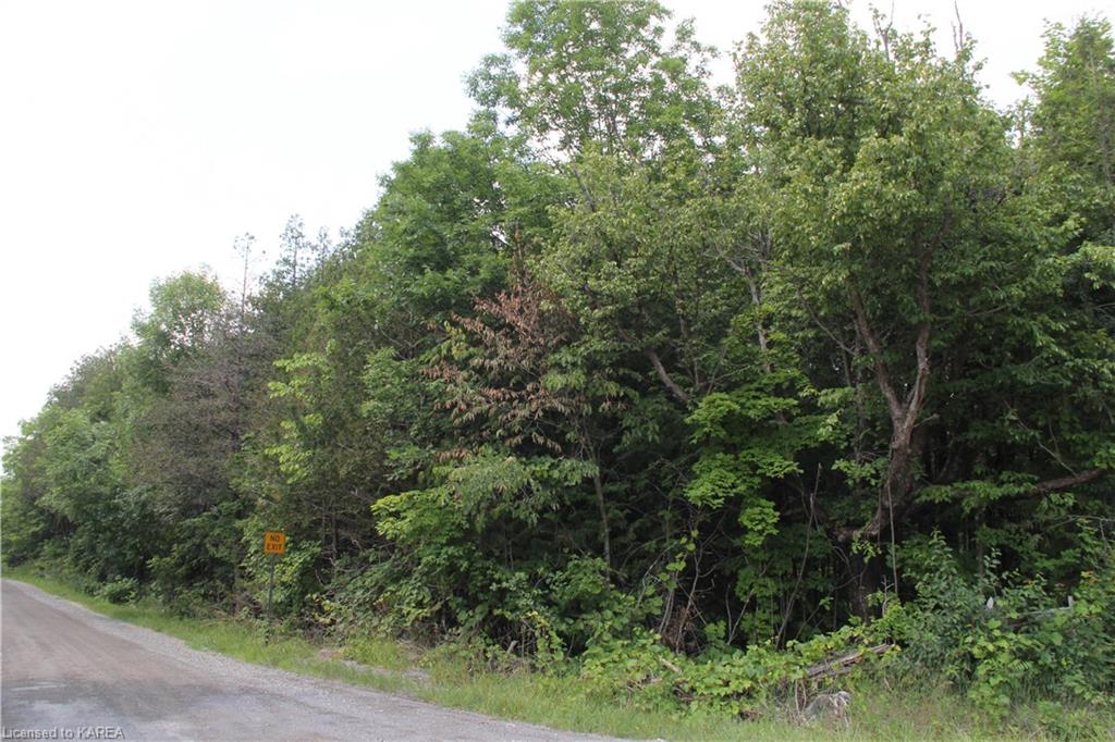 LIME LAKE Road, Roblin, Ontario, Canada