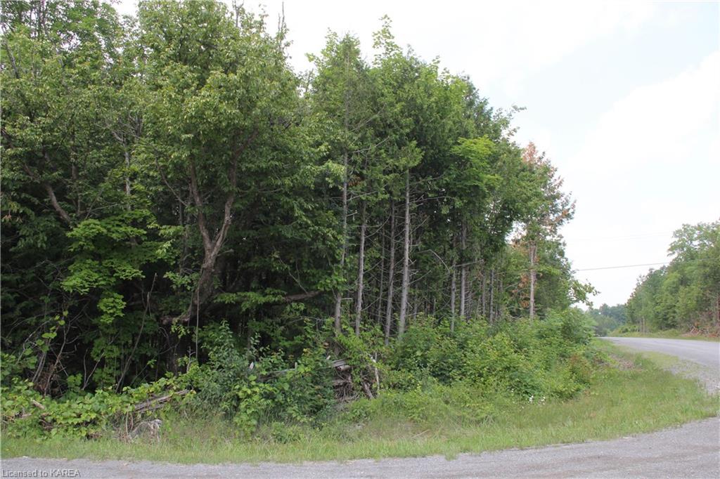 LIME LAKE Road, Roblin, Ontario, Canada