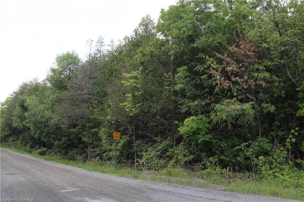 LIME LAKE Road, Roblin, Ontario, Canada