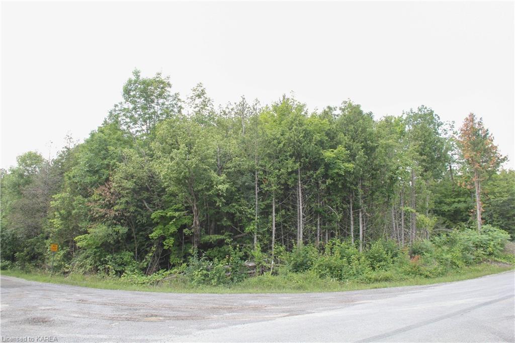 LIME LAKE Road, Roblin, Ontario, Canada