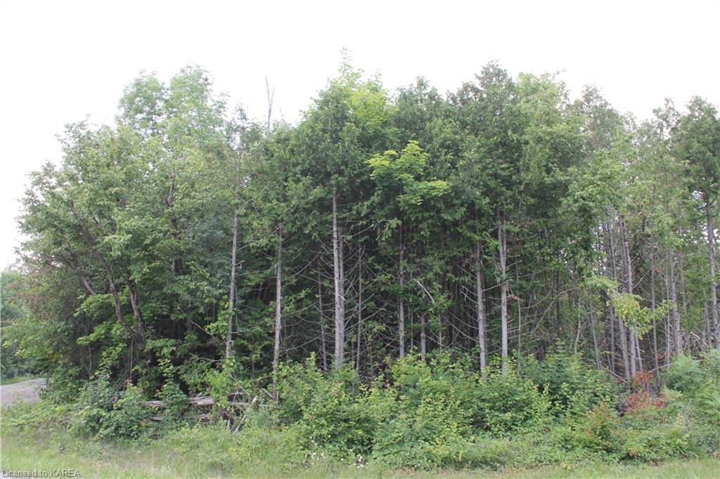 LIME LAKE Road, Roblin, Ontario, Canada