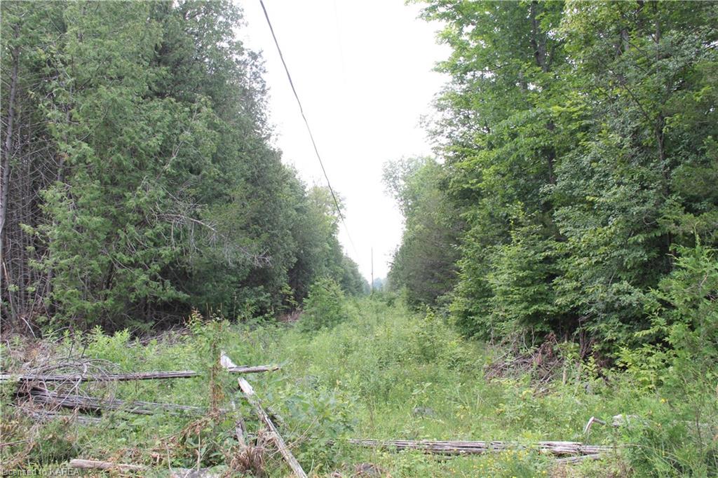 LIME LAKE Road, Roblin, Ontario, Canada