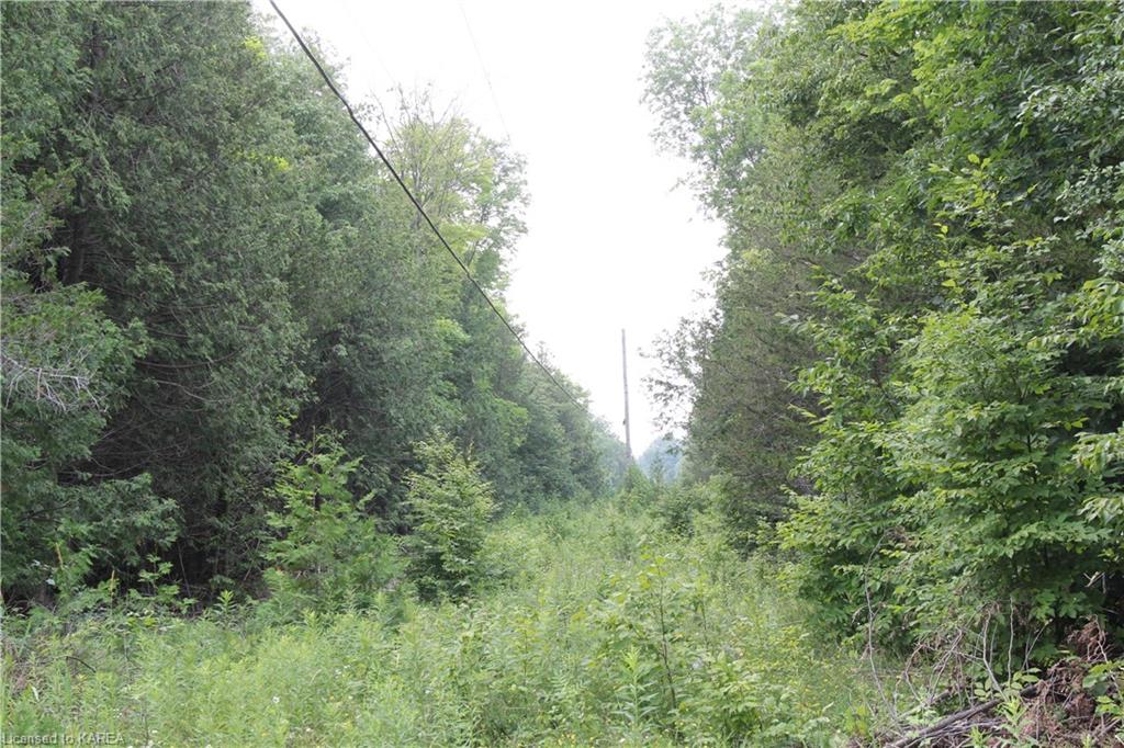 LIME LAKE Road, Roblin, Ontario, Canada