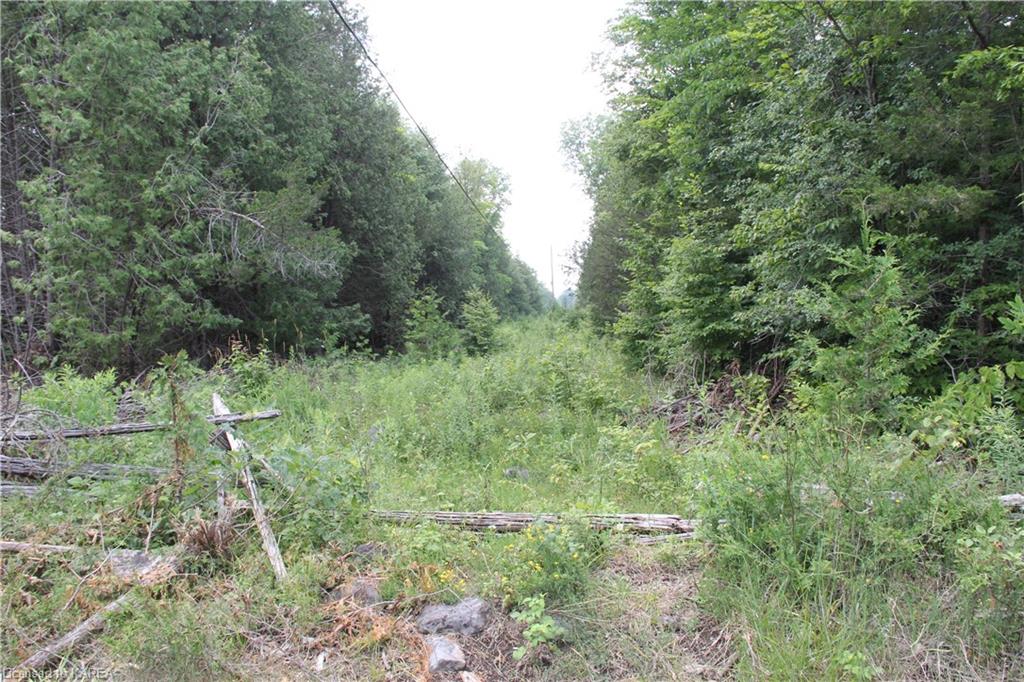 LIME LAKE Road, Roblin, Ontario, Canada