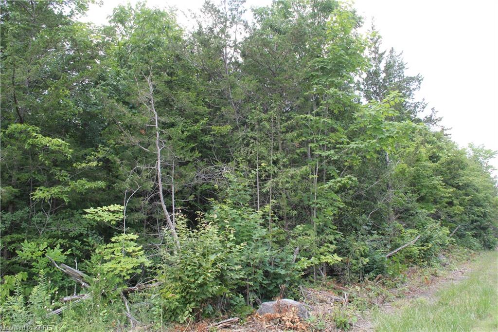 LIME LAKE Road, Roblin, Ontario, Canada