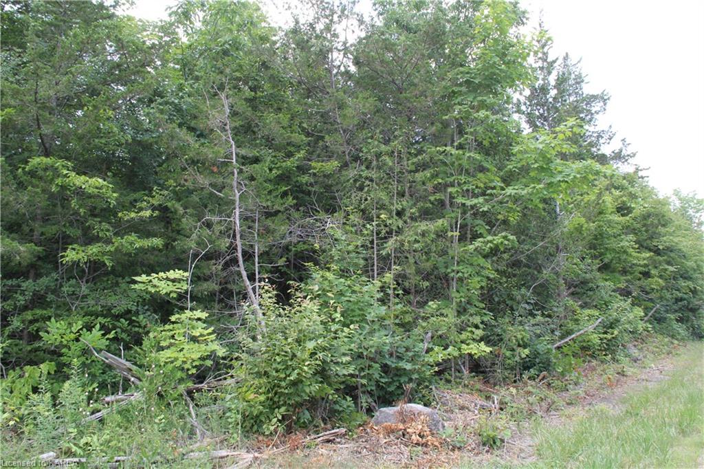 LIME LAKE Road, Roblin, Ontario, Canada