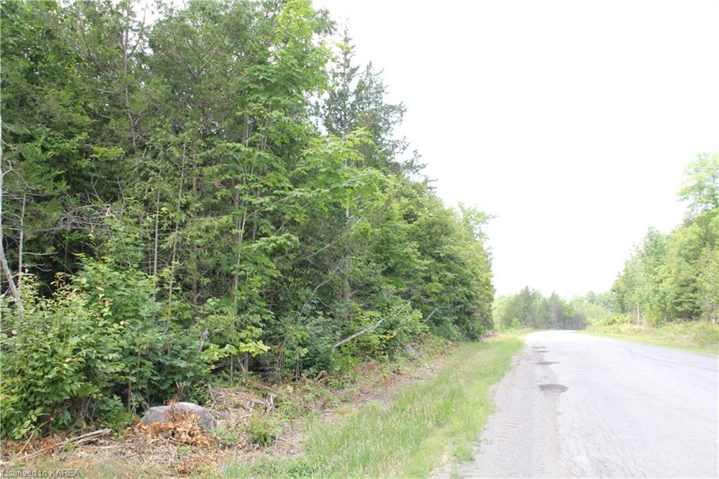 LIME LAKE Road, Roblin, Ontario, Canada