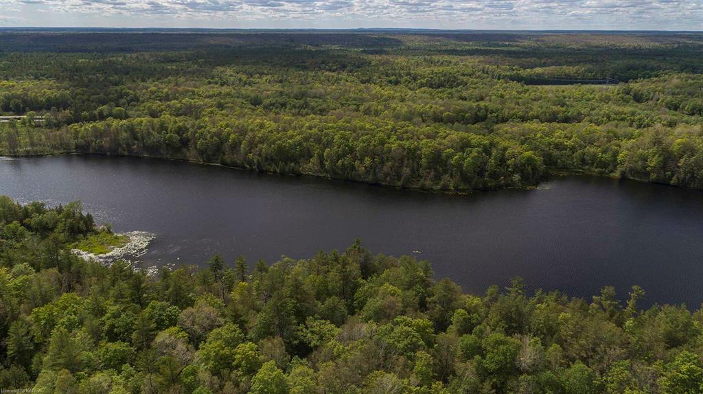 8860 HIGHWAY 41, Kaladar, Ontario, Canada