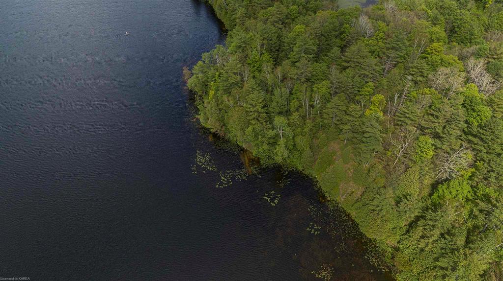 8860 HIGHWAY 41, Kaladar, Ontario, Canada