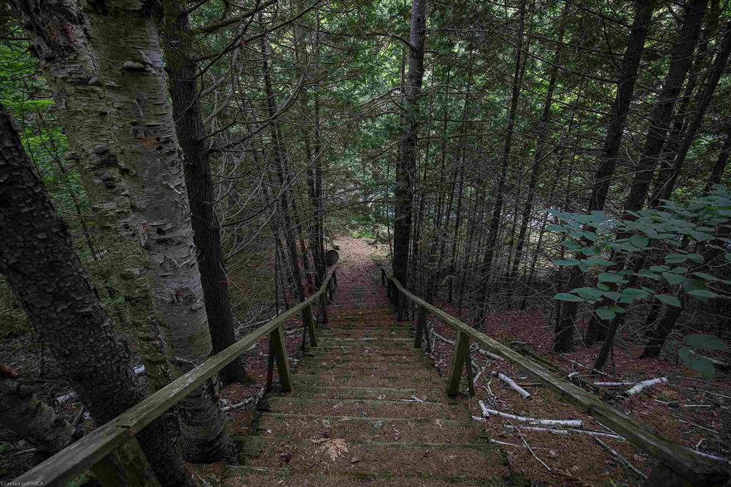 8860 HIGHWAY 41, Kaladar, Ontario, Canada