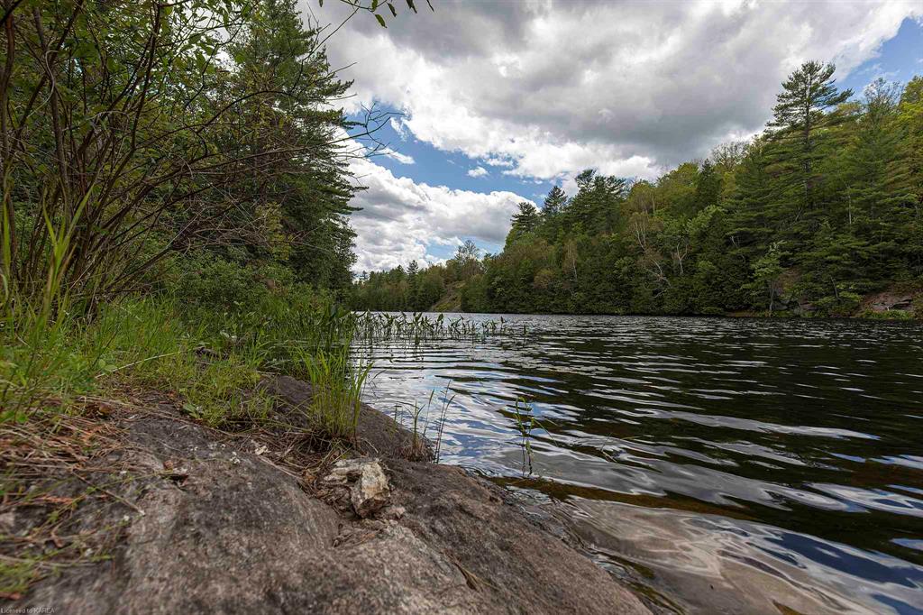 8860 HIGHWAY 41, Kaladar, Ontario, Canada