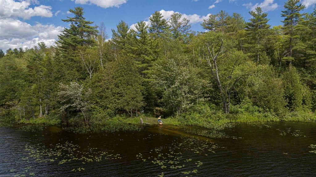 8860 HIGHWAY 41, Kaladar, Ontario, Canada