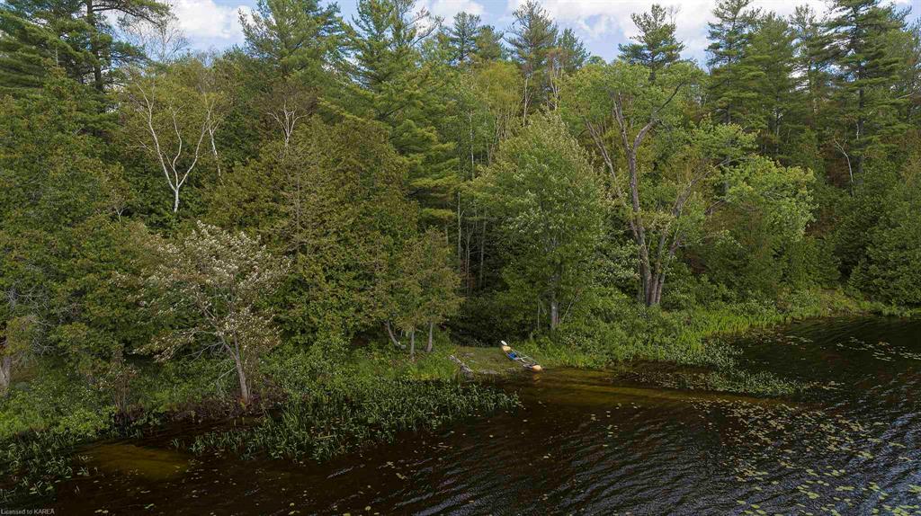 8860 HIGHWAY 41, Kaladar, Ontario, Canada