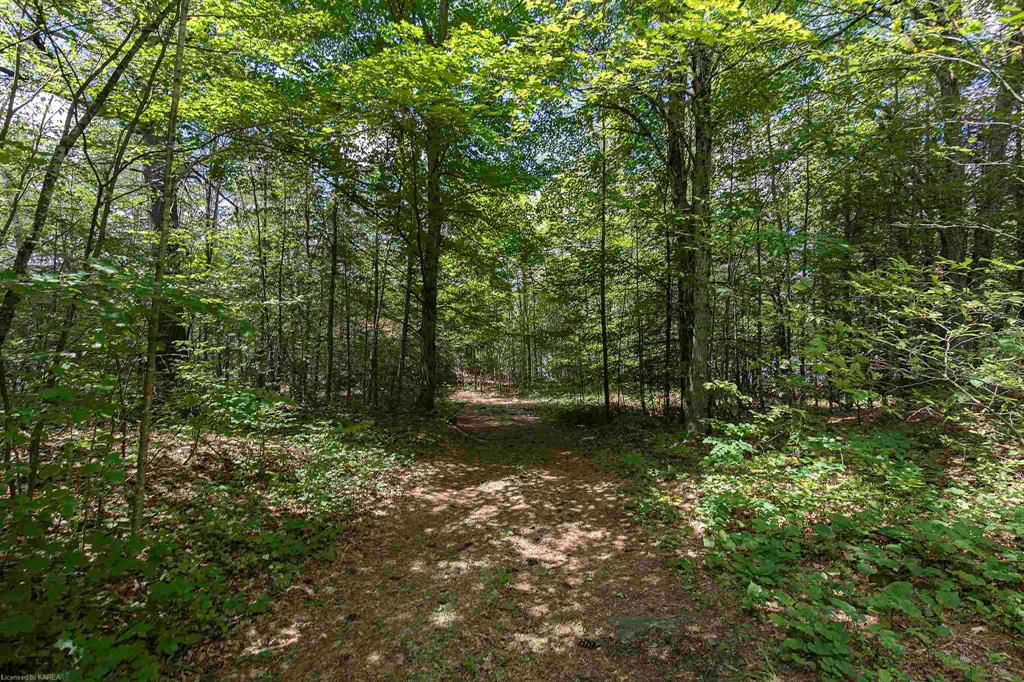 8860 HIGHWAY 41, Kaladar, Ontario, Canada