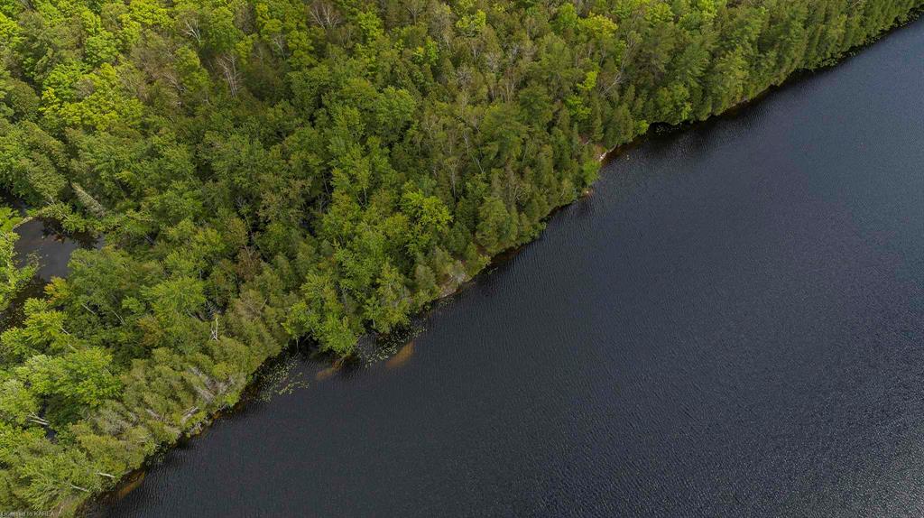 8860 HIGHWAY 41, Kaladar, Ontario, Canada
