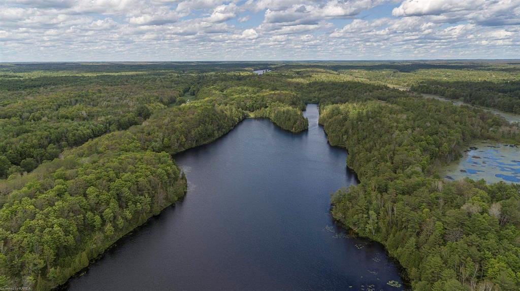 8860 HIGHWAY 41, Kaladar, Ontario, Canada