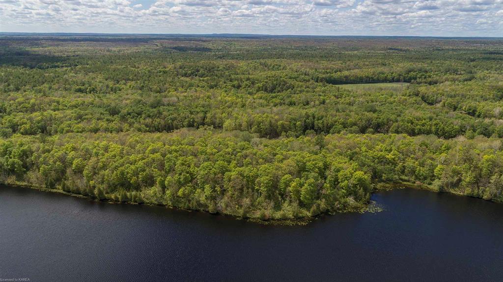 8860 HIGHWAY 41, Kaladar, Ontario, Canada