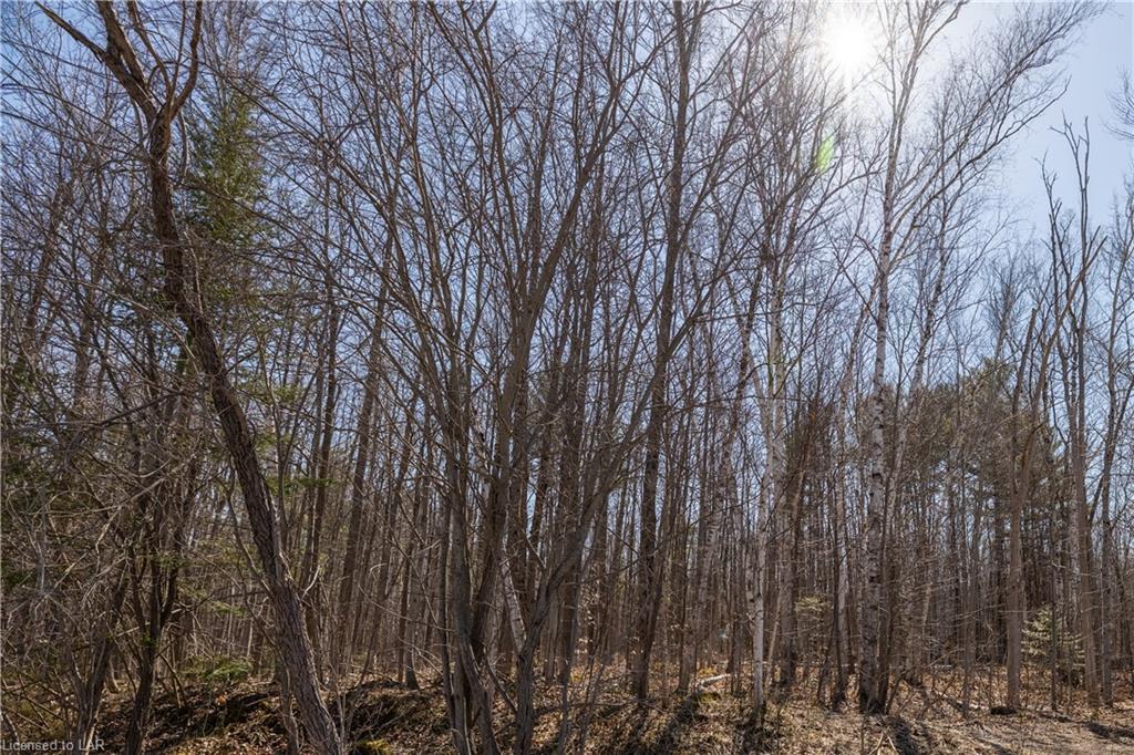 N/A PT LT 15 CON 9, Oro-Medonte Township, Ontario, Canada
