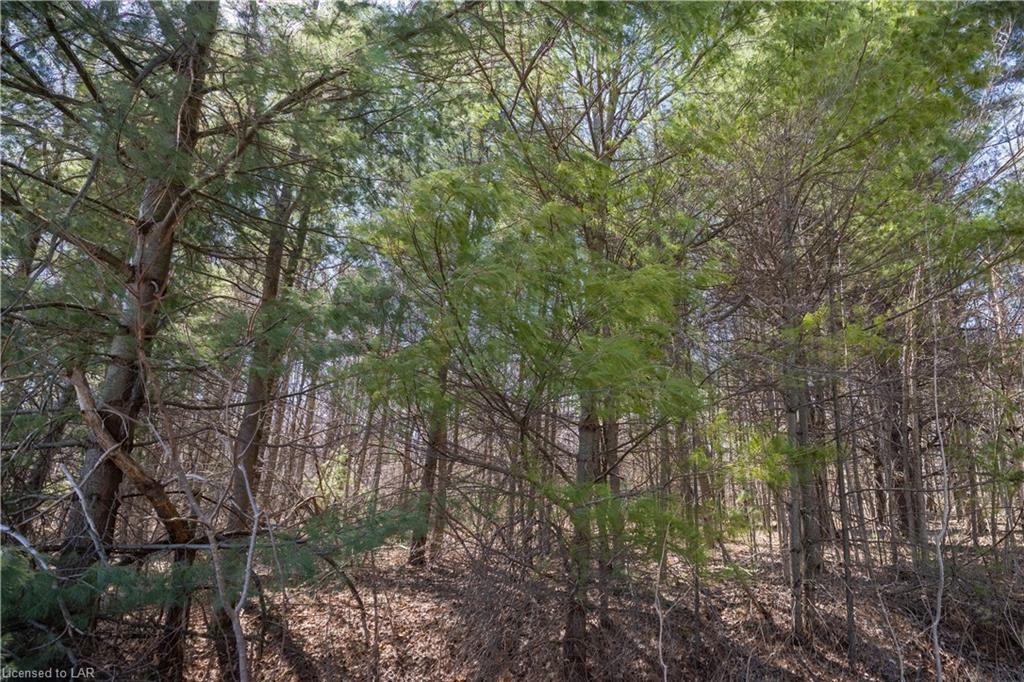 N/A PT LT 15 CON 9, Oro-Medonte Township, Ontario, Canada