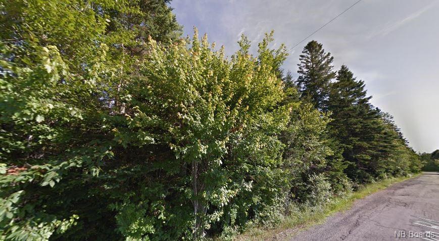 00 Clark Road, Bayside New Brunswick, Canada