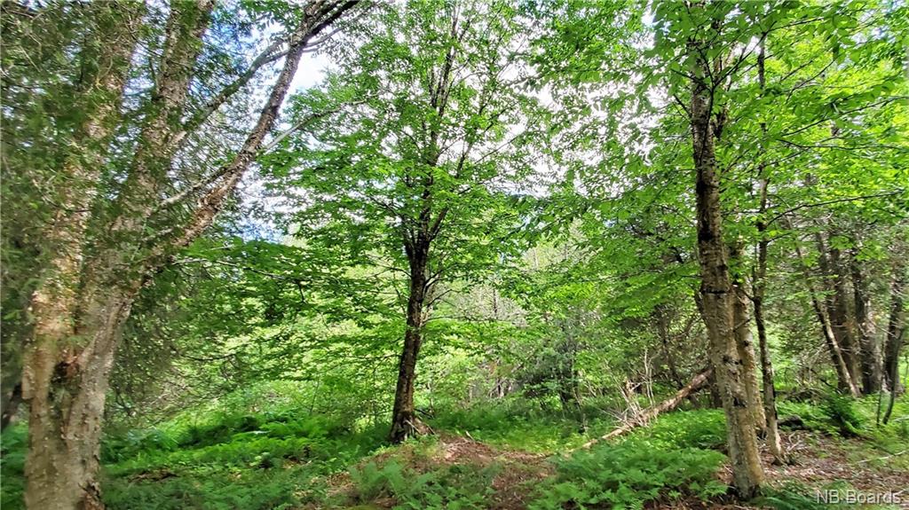 LOT 21-1 Alpenglow Drive, Quispamsis, New Brunswick, Canada