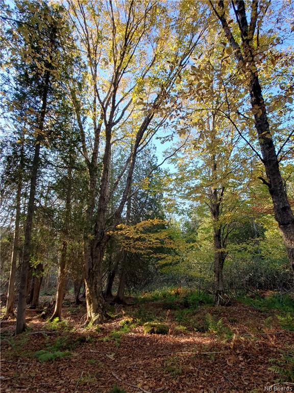 LOT 21-1 Alpenglow Drive, Quispamsis, New Brunswick, Canada