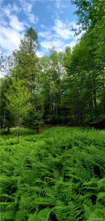 LOT 21-1 Alpenglow Drive, Quispamsis, New Brunswick, Canada