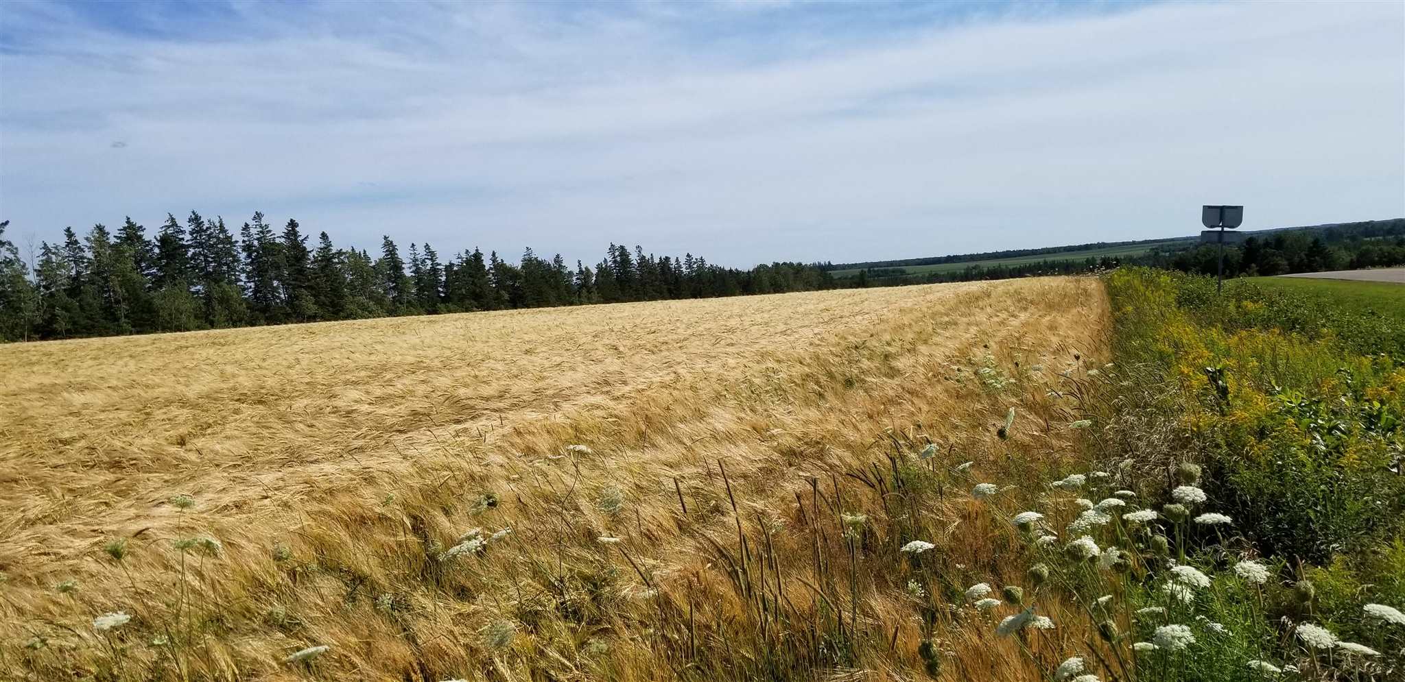 Upton Road, Upton, Prince Edward Island, Canada