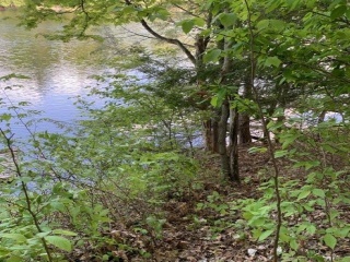 14 Mill Bay Lane, South Frontenac Ontario, Canada