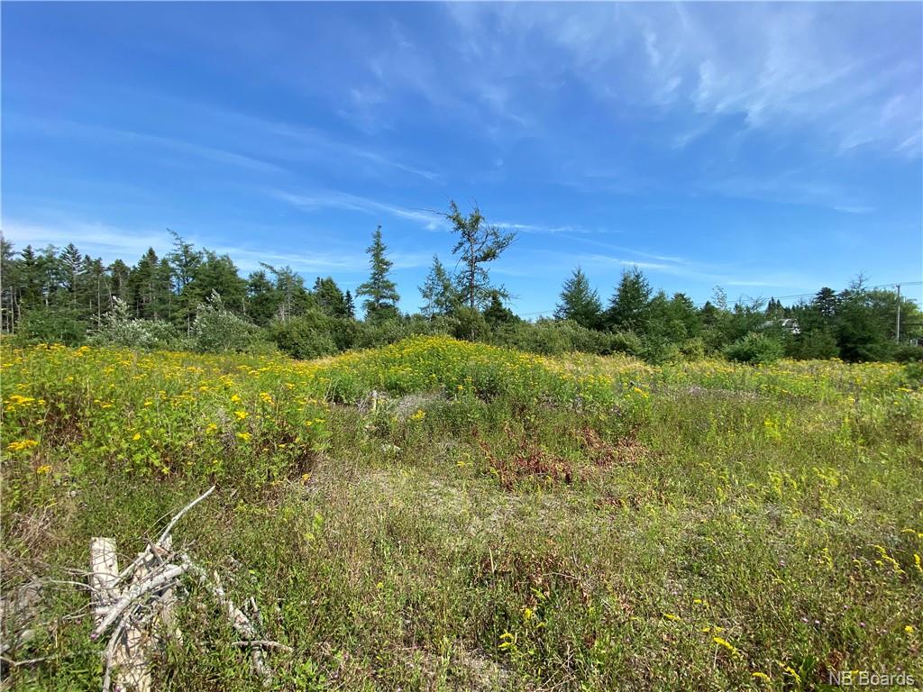 Lot 95-2 Loch Lomond Road, Saint John, New Brunswick, Canada