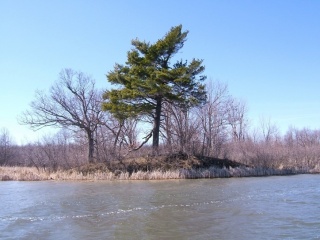 Johnson Bay Lane, Howe Island Ontario, Canada