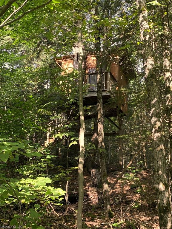 1191 CRANE LAKE Drive, Dorset, Ontario, Canada