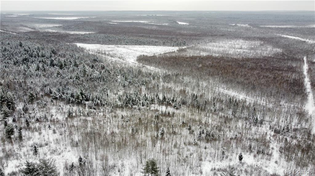Lot Mast Road, Three Tree Creek, New Brunswick, Canada