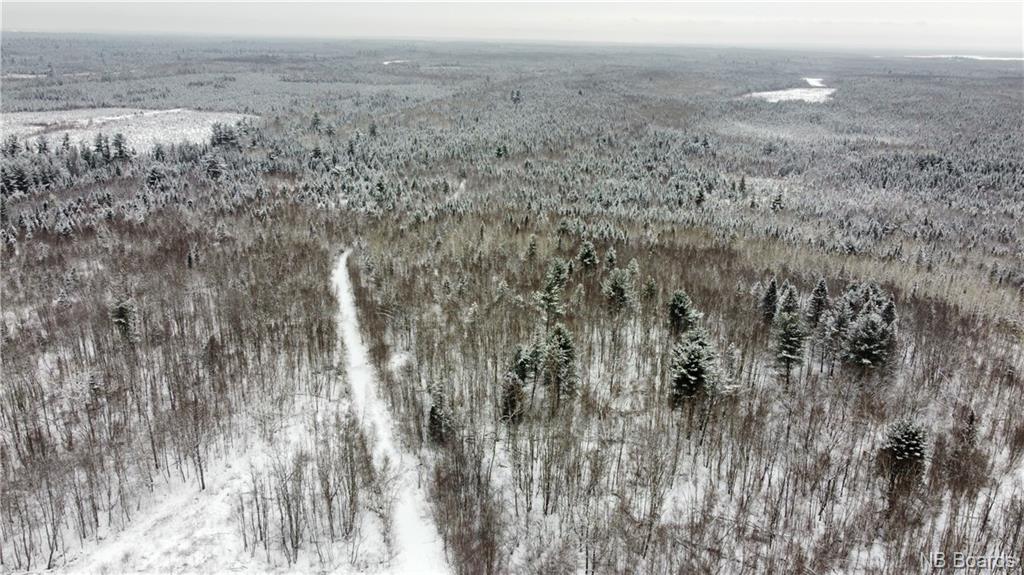 Lot Mast Road, Three Tree Creek, New Brunswick, Canada