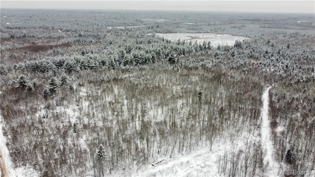 Lot Mast Road, Three Tree Creek, New Brunswick, Canada
