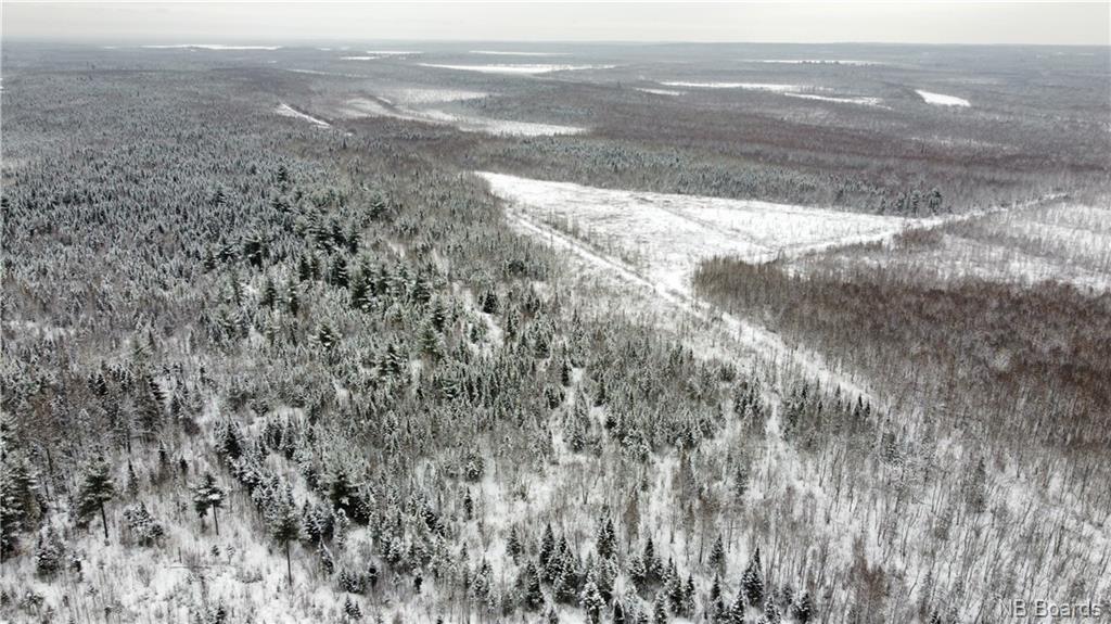 Lot Mast Road, Three Tree Creek, New Brunswick, Canada