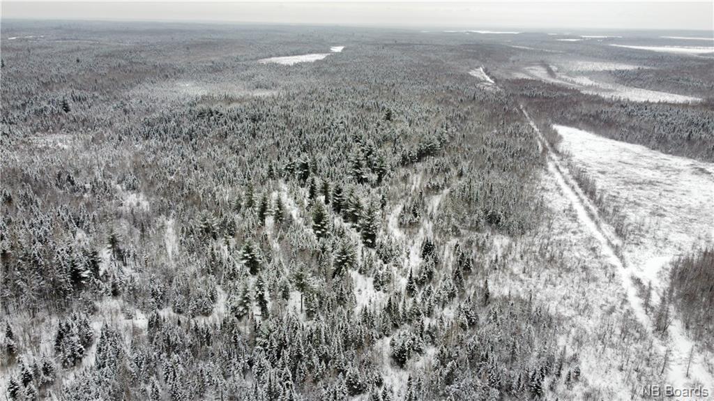 Lot Mast Road, Three Tree Creek, New Brunswick, Canada