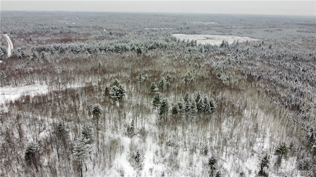 Lot Mast Road, Three Tree Creek, New Brunswick, Canada