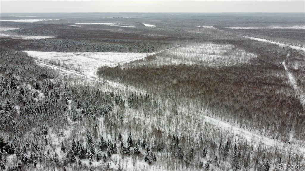 Lot Mast Road, Three Tree Creek, New Brunswick, Canada