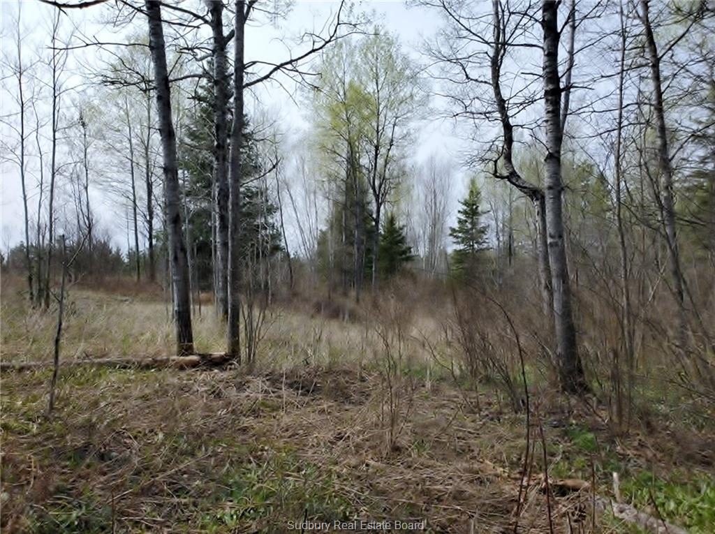 Lot 11 Con 1 Wolseley Bay Road, Noelville Ontario, Canada