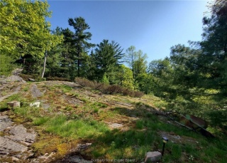 Fourteen Mile Island, Alban Ontario