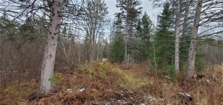 2245 Wolseley Bay Road, Noelville Ontario
