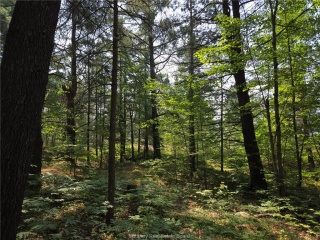 2062b Highway 64, Alban Ontario