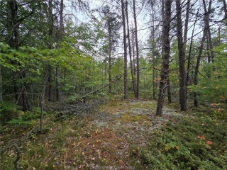 pcl 18047a hwy 607, Alban Ontario, Canada