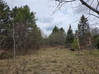 1483 dokis reserve road, Monetville Ontario, Canada