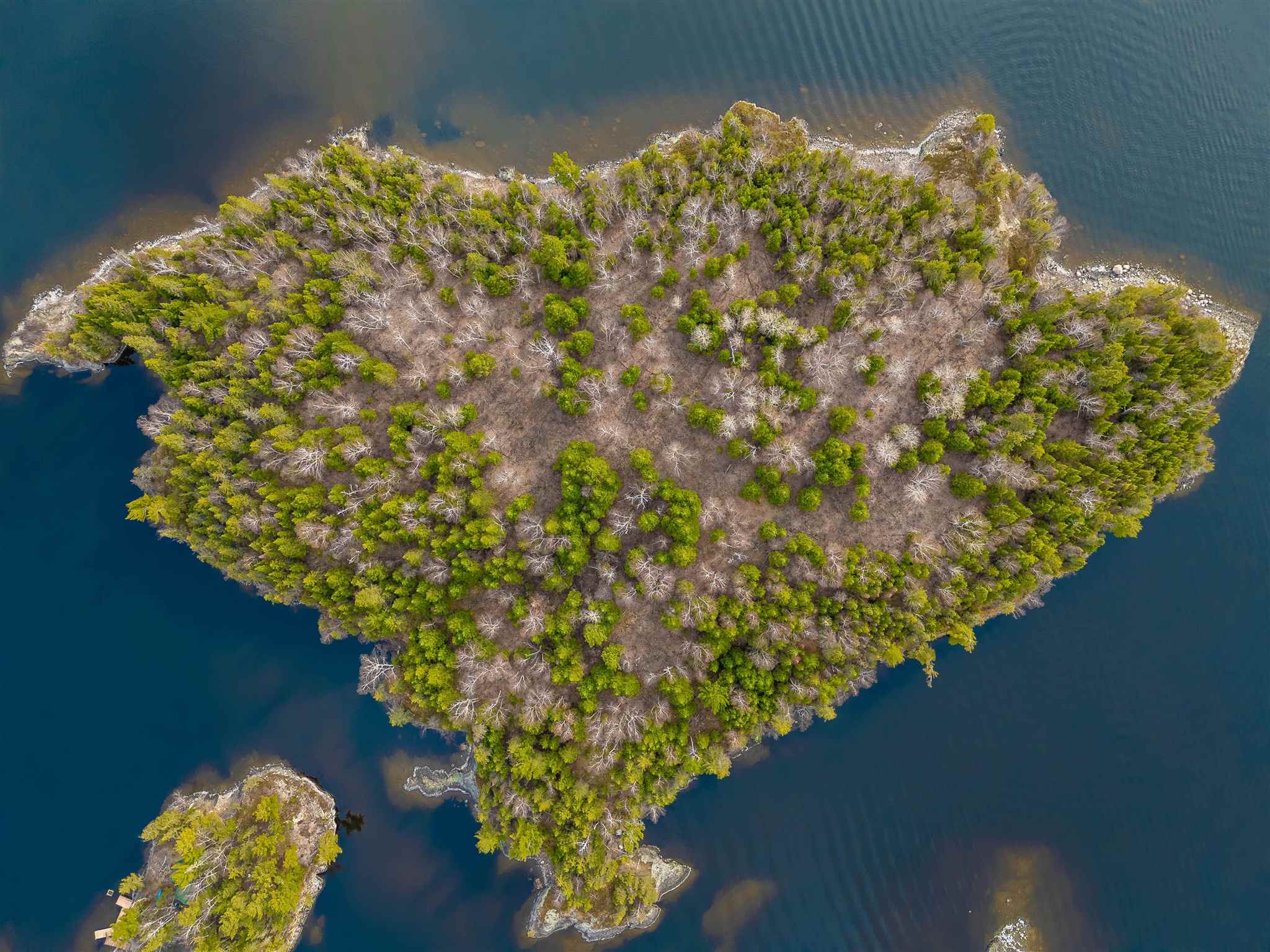 Island D49, Kenora, Ontario, Canada photo 13