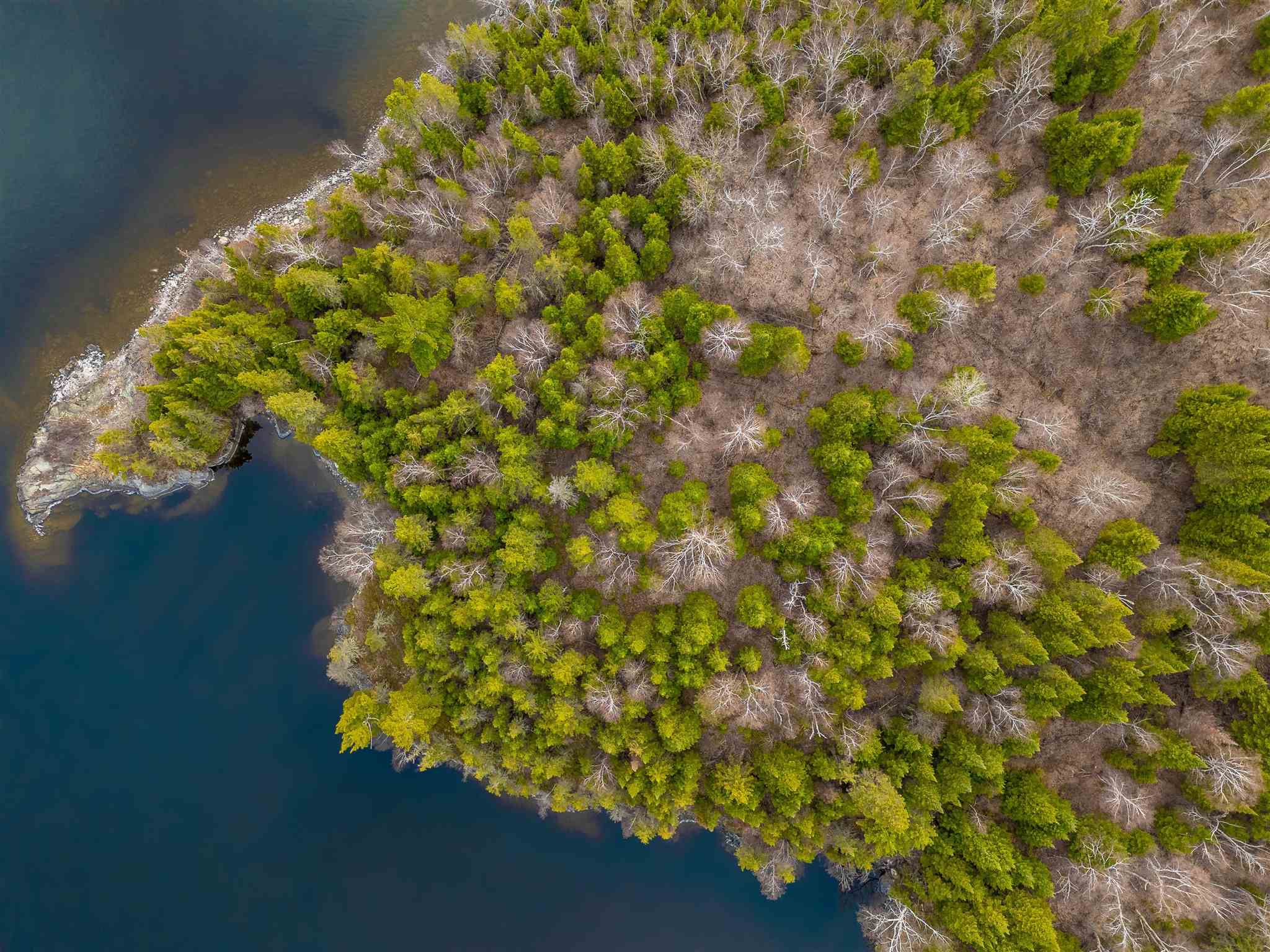 Island D49, Kenora, Ontario, Canada photo 14