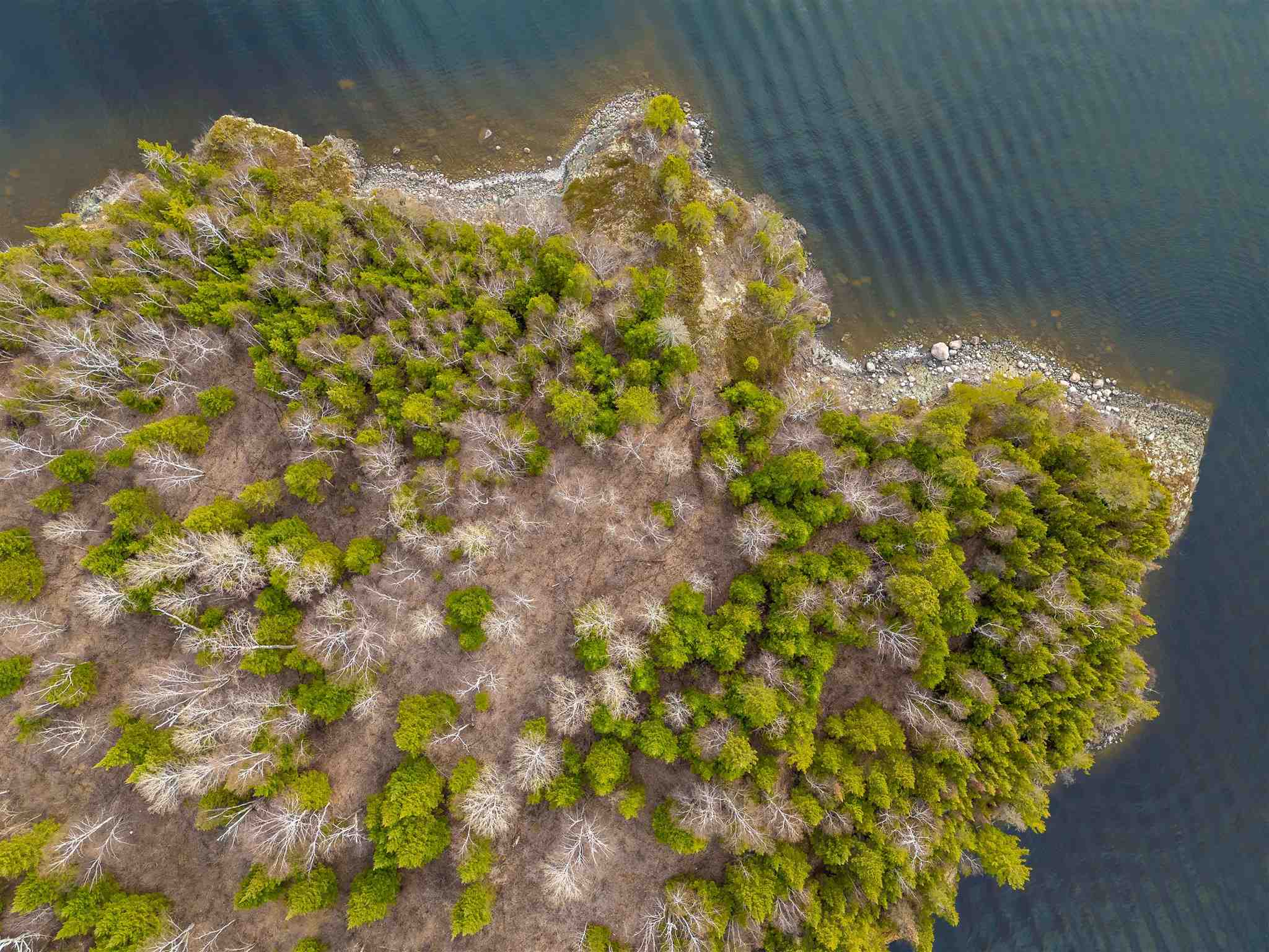 Island D49, Kenora, Ontario, Canada photo 24