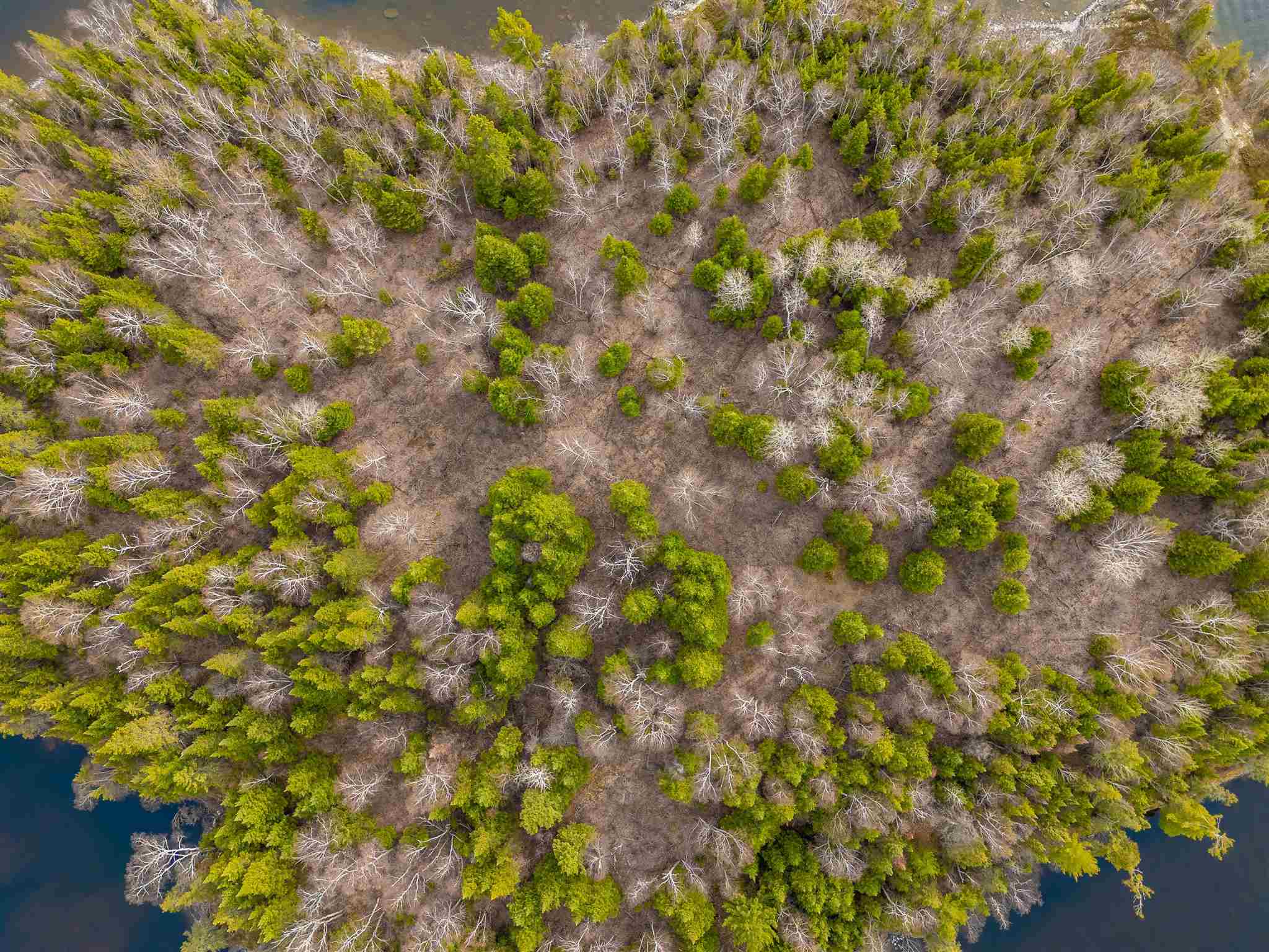 Island D49, Kenora, Ontario, Canada photo 25